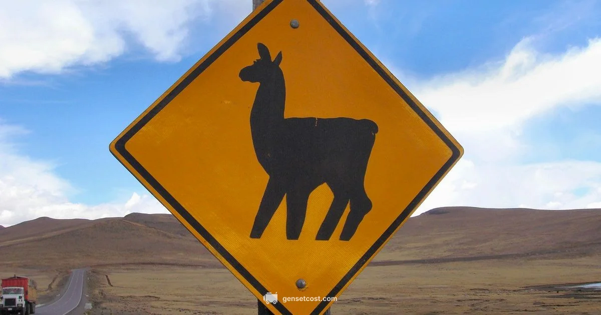 Ozone Safety Guide - Genset Cost