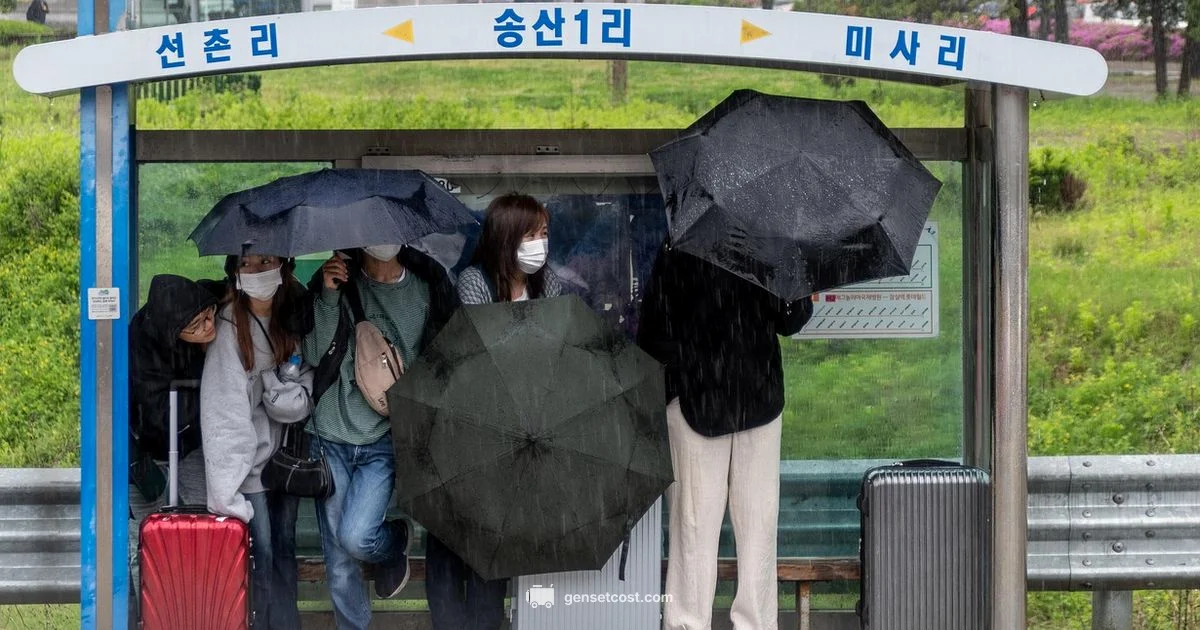 Rain-Safe Generator - Genset Cost