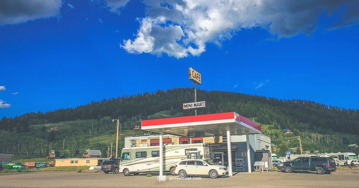 Gas Generator Home Guide - Genset Cost