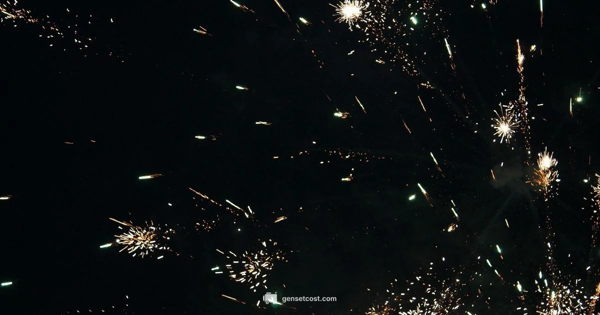 Spark Arrestor Cleaning - Genset Cost