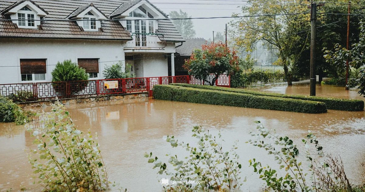 Rain Ready Gen - Genset Cost