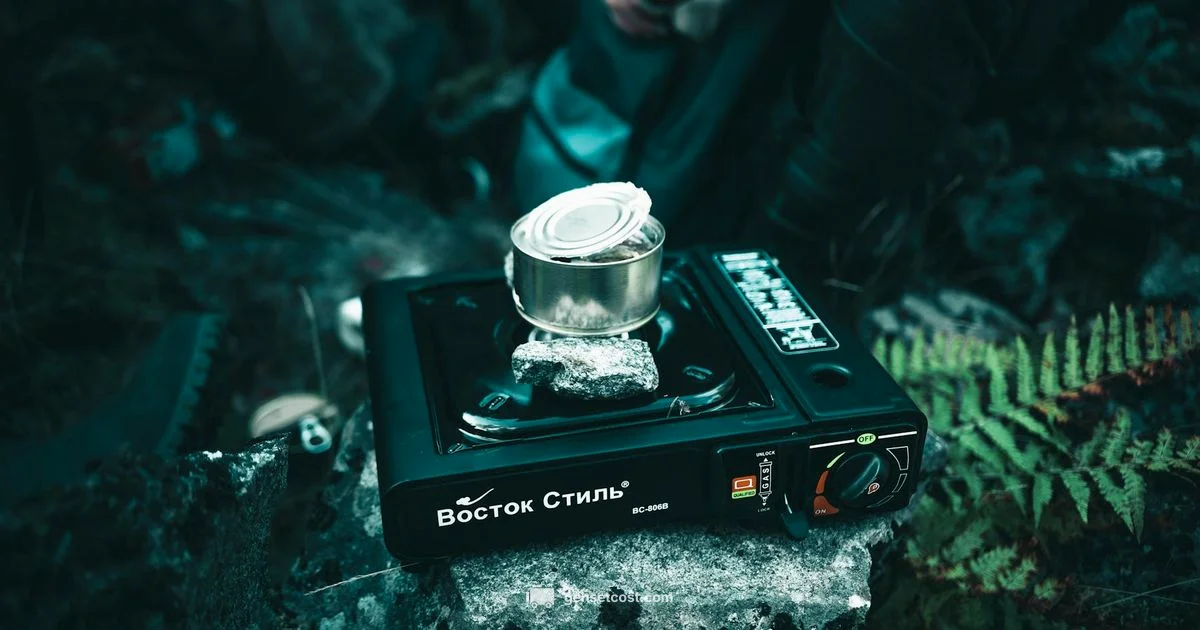 Safe Gas Disposal - Genset Cost