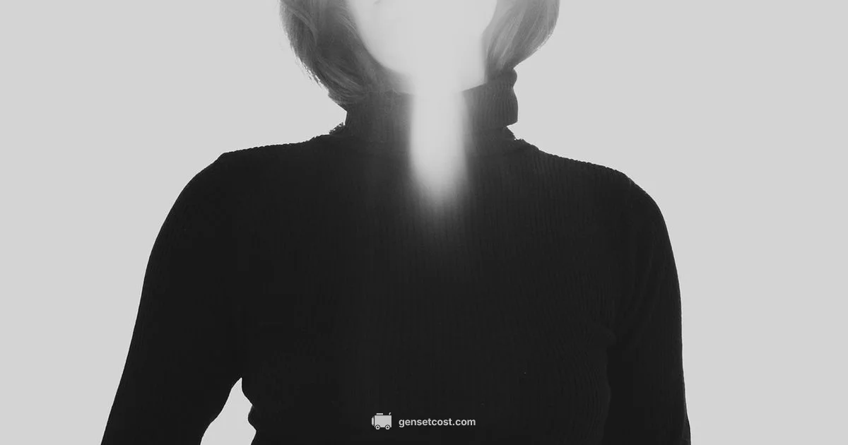 Generator vs Manifesting Generator - Genset Cost