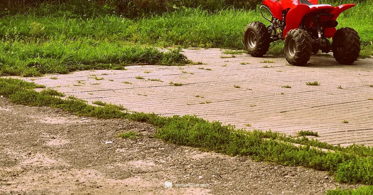 Winter Generator Outdoors - Genset Cost