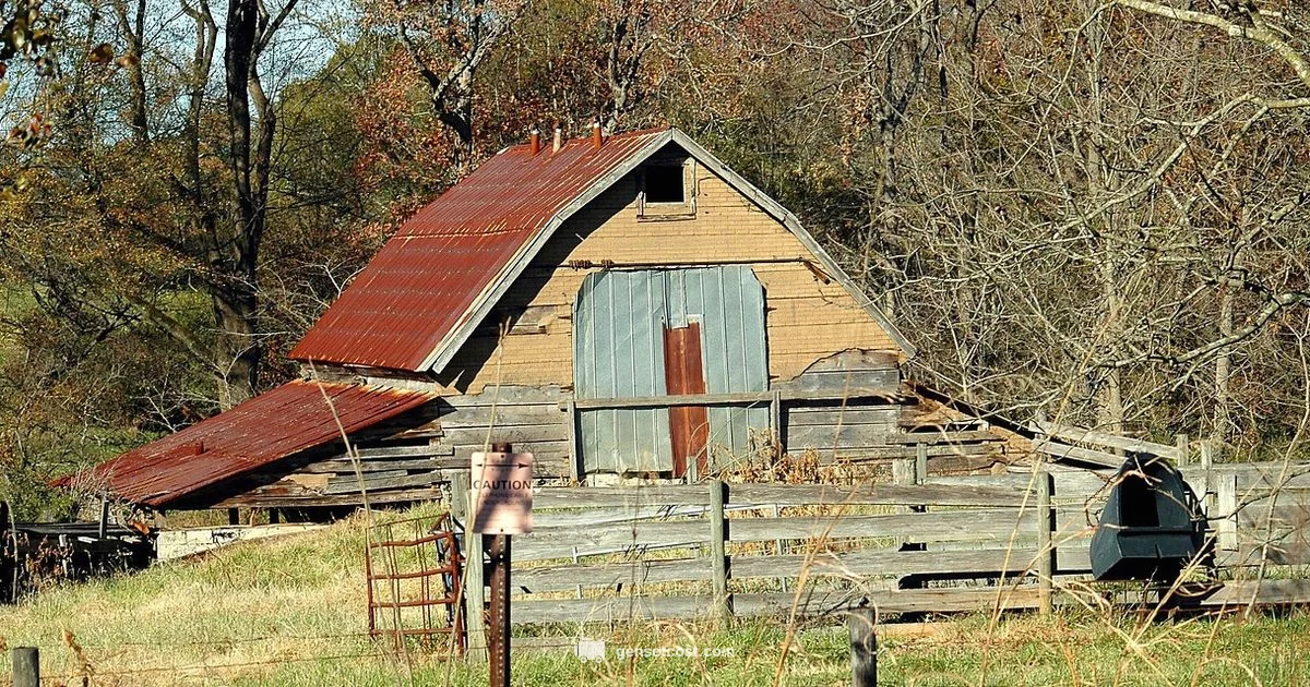 Backup Power Guide - Genset Cost