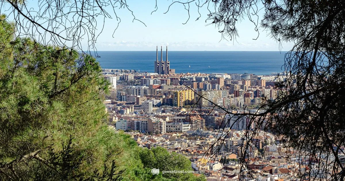 Backup Power in Barcelona - Genset Cost