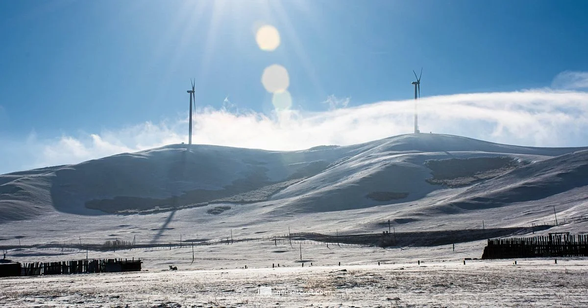 Oil Maintenance Guide - Genset Cost