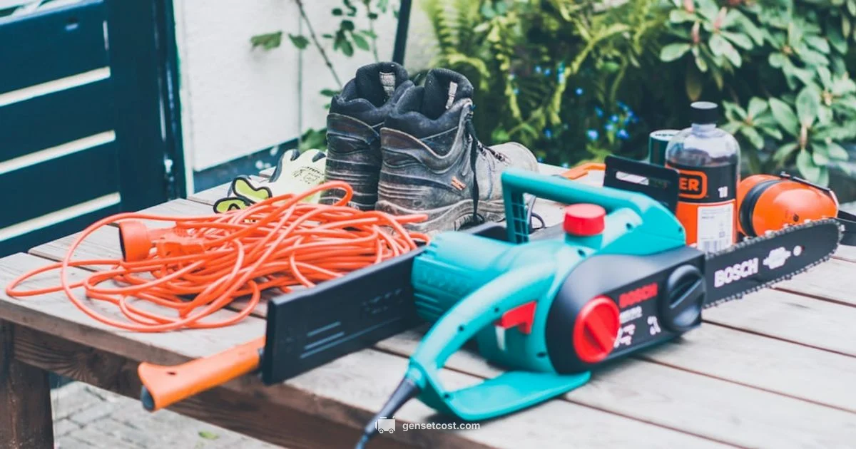 Maintenance Costs - Genset Cost