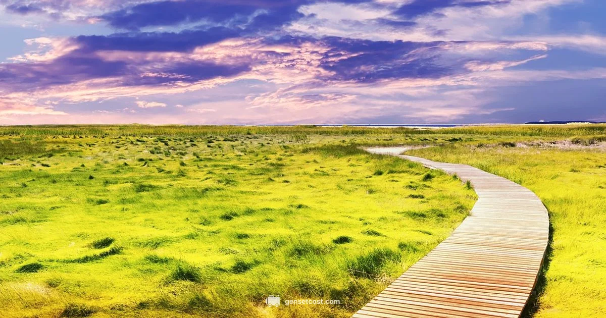 Safe Generator Placement - Genset Cost