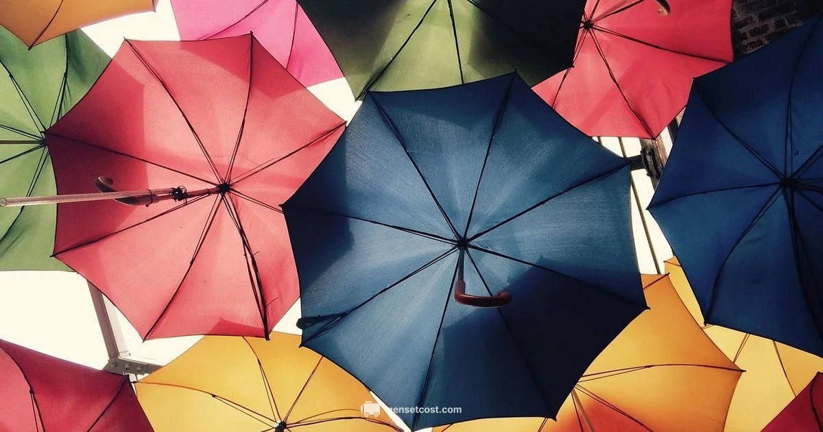 Rain Ready - Genset Cost